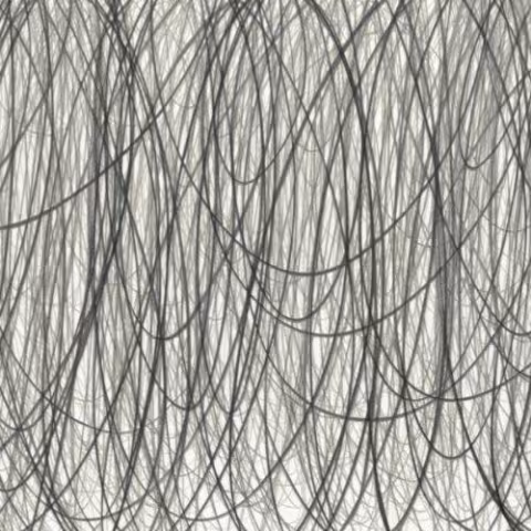 1354029992_cover.jpg