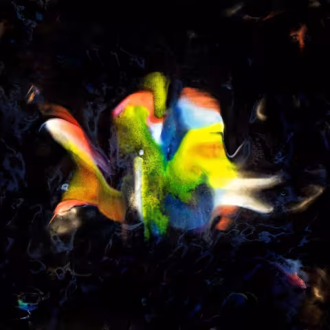 401826426_890652739092236_15747333.jpg
