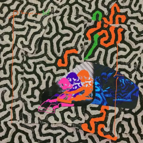 Animal-Collective-Tangerine-Reef-1531756837-640x640.jpg