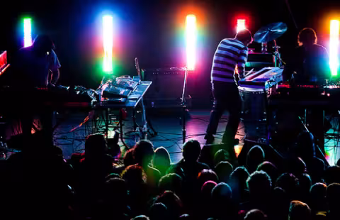 Animal_Collective_untitled.png