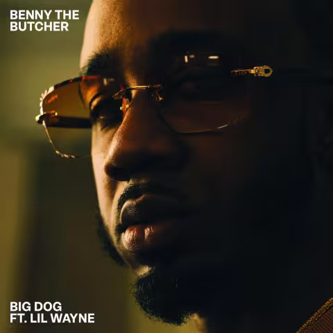 Benny-The-Butcher-Big-Dog-1699024718.jpeg