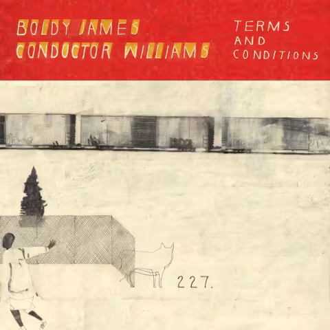 Boldy-James-Terms-And-Conditions-1718390809.jpg