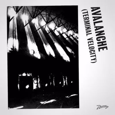 Boys-Noize-Erol-Alkan-Avalanche-Terminal-Velocity-490x490.jpg