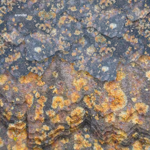 CD-ARANDEL-Solarispellis.jpg