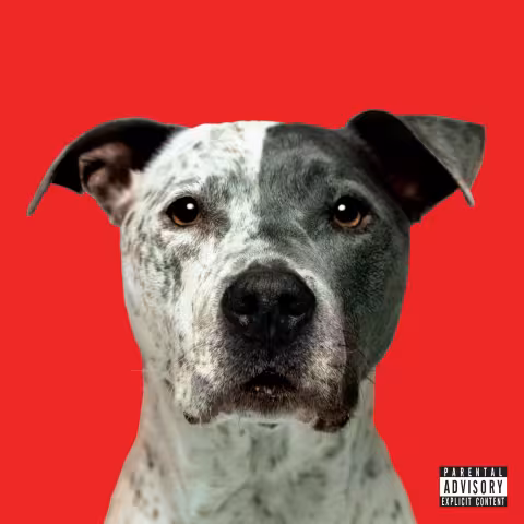Cover_album__Flight_.jpg