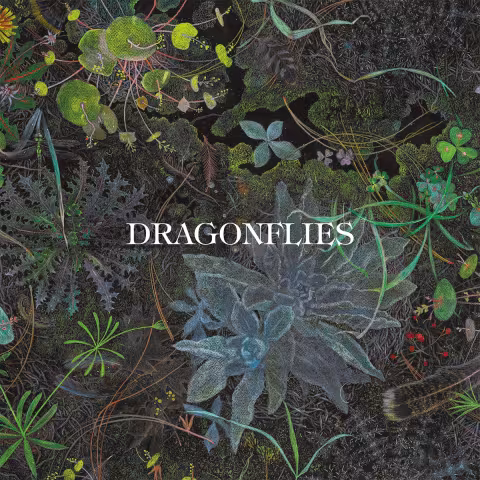 DragonfliesLPColour18.09.26_1200x1200_jpg.jpg