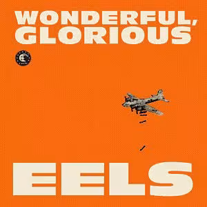 Eels_-_Wonderful__Glorious.jpg