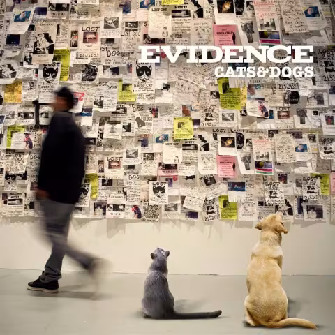 Evidence-donne-des-nouvelles-de-CatsDogs.jpg