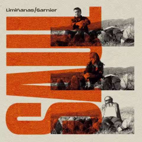 Liminanas-Garnier-500x500.jpeg