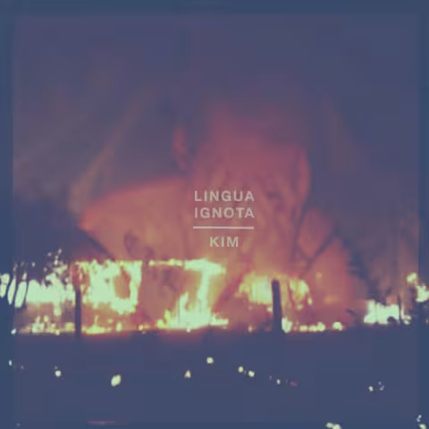 Lingua-Ignota-Kim-.jpg