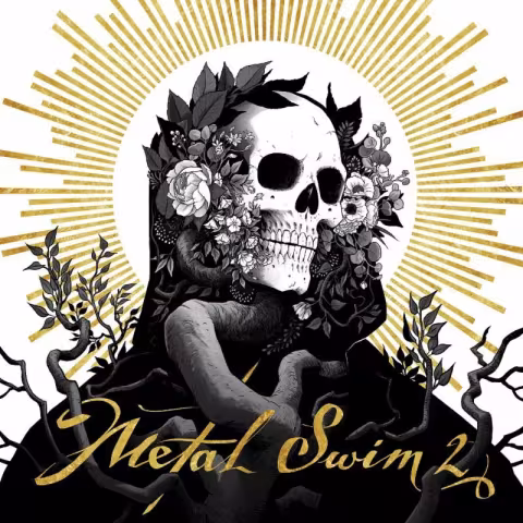 Metal-Swim-2.jpg