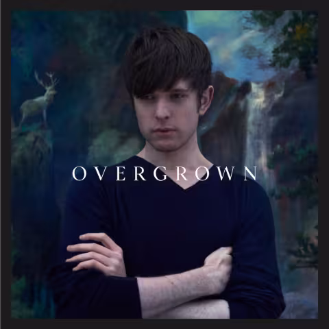 Overgrown-art-2.2013.jpg
