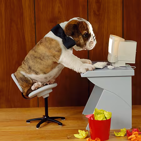 PUP_18_RS0002_01_P.JPG