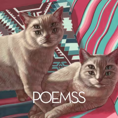 Poemss_ZIQ345_medium_image.jpg