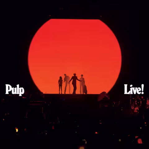 Pulp_png.jpg
