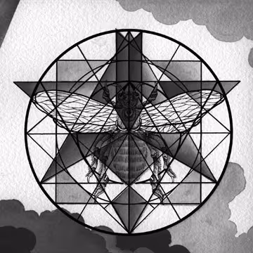 RM74_Triangle.jpg
