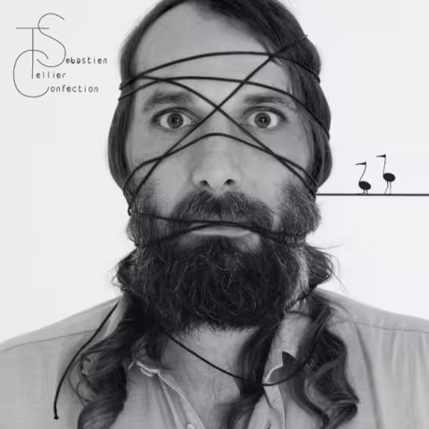SEBASTIEN-TELLIER-new-album-CONFECTION.jpg