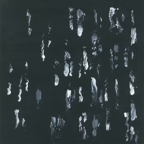 SIGHTINGS-1500x1500_COVER_ART-300DPI_1024x1024.jpg
