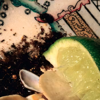 SP029_cover-350.png