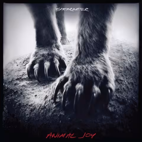 Shearwater-Animal-Joy.jpg