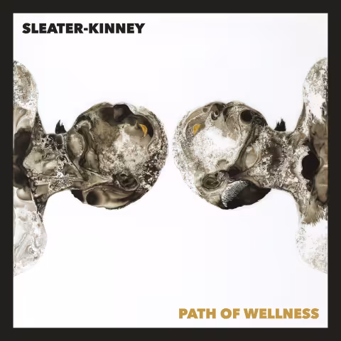 Sleater-Kinney-Path-of-Wellness.jpeg