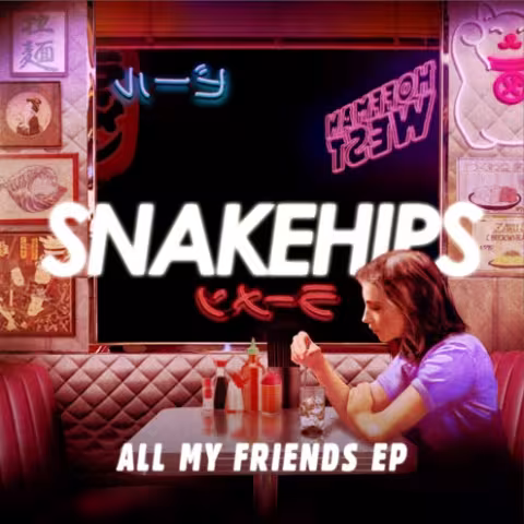 Snakehips-All-My-Friends-EP-495x495.jpg