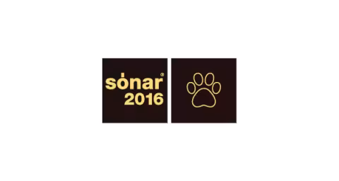 Sonar_2016_600.jpg