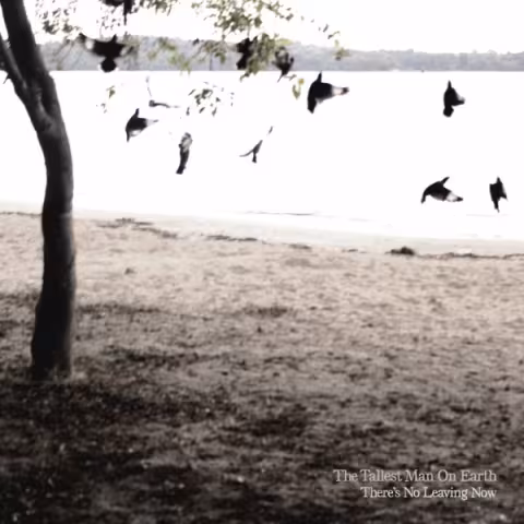 Tallest-Man-Theres-No-Leaving-Now-e1332860096806.jpg