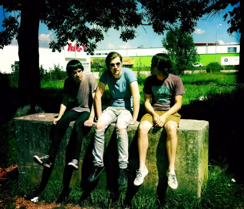 The_Cribs_Band.jpg