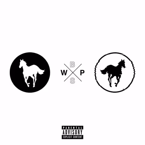 White-Pony-x-Black-Stallion.jpg