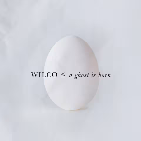 Wilco-A-Ghost-Is-Born-Expanded-Edition.jpeg.jpg