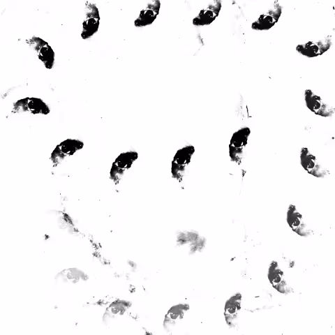 a3105229587_10.jpg