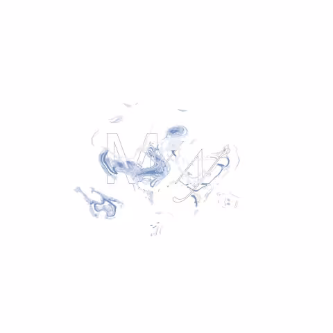 anetha49_1145786919195157_3694673098807962365_o.jpeg