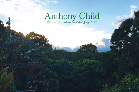 anthony-child-maui-jungle.jpg