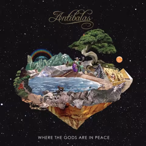 antibalas-wtgaip-cover.jpeg