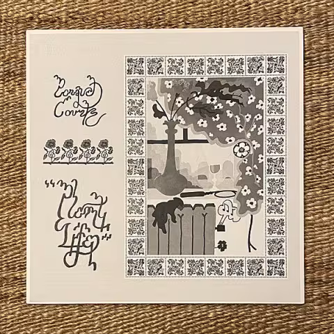 attachment-parquet-courts-plant-life.jpg