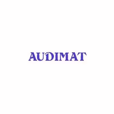audimat.jpg