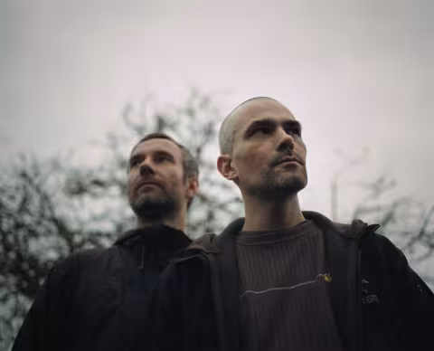 autechre_tree1.jpg