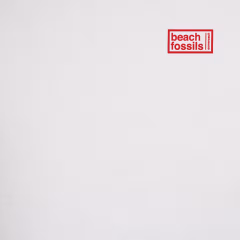 beach-fossils_01.jpg