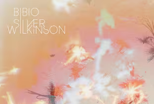 bibio-silverwilkinson.jpg