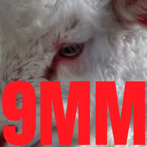 brutalismus_3000_9mm.png