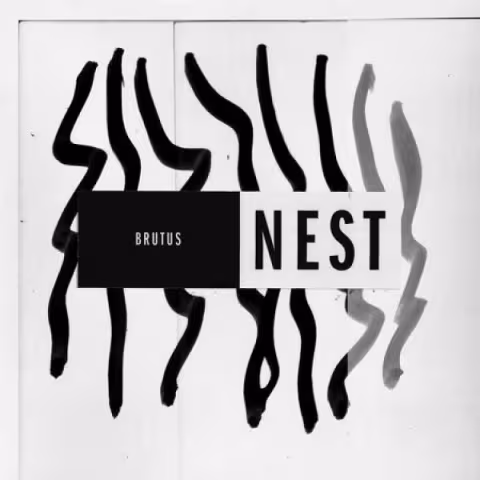 brutus-nest-music-review-punk-rock-theory.jpg