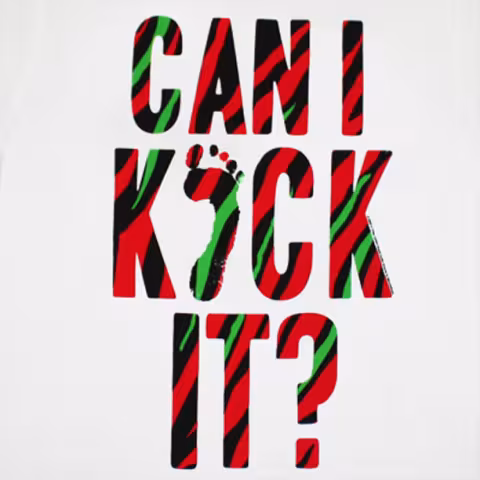 can-i-kick-it.jpg