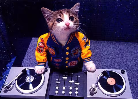 cat-dj.jpg