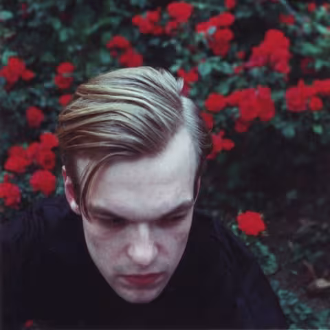cdb_roses_square1000.jpg
