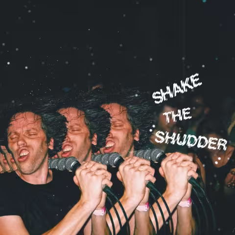 chk-chk-chk-shake-the-shudder-artwork.jpg