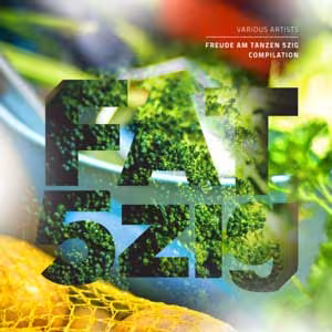 cover_cd_fat5zig_web.jpg