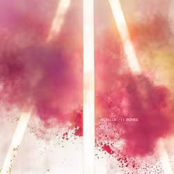 csm_son-lux-bones_0c9662f33b.jpg