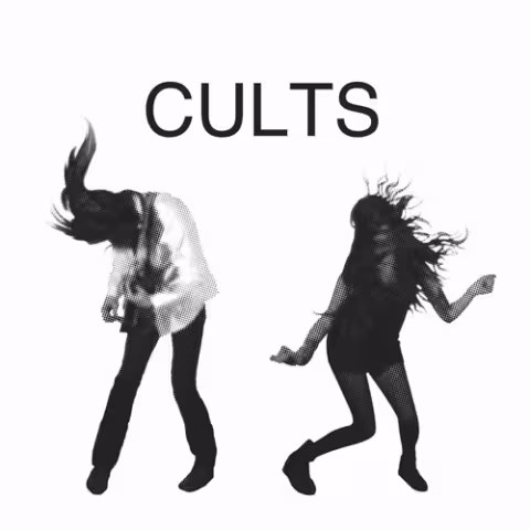 cults1.jpeg