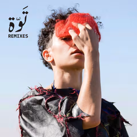 deena_abdelwahed_remixes.jpg
